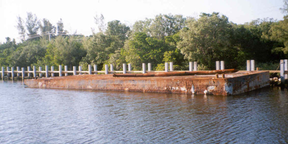 Dive With South Florida Diving Headquarters